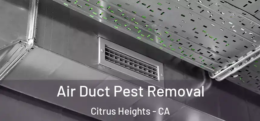 Air Duct Pest Removal Citrus Heights - CA