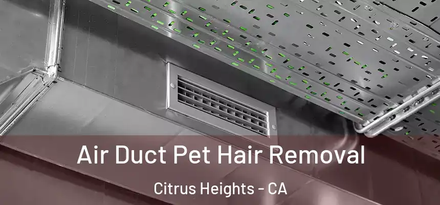 Air Duct Pet Hair Removal Citrus Heights - CA