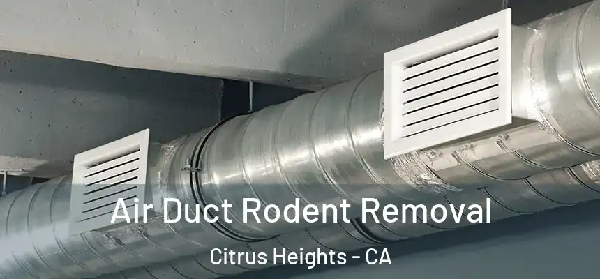Air Duct Rodent Removal Citrus Heights - CA