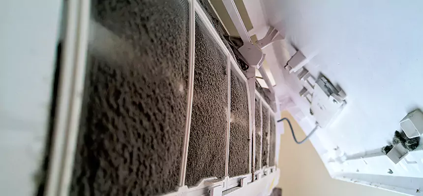 Preventive Air Duct Bacteria Removal in Citrus Heights