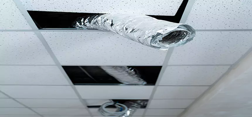 Affordable HVAC Sanitizing After Pest Removal in Citrus Heights