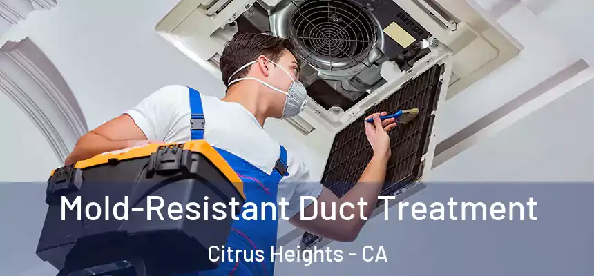 Mold-Resistant Duct Treatment Citrus Heights - CA