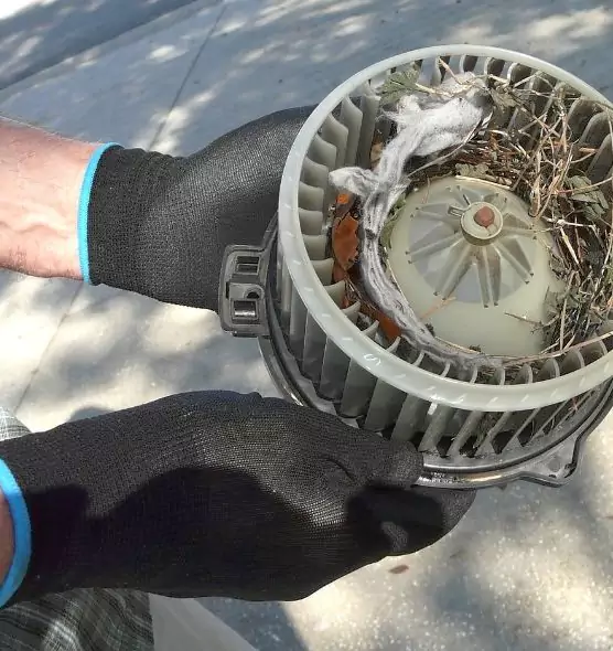 About Air Duct Rat Removal in Citrus Heights, CA