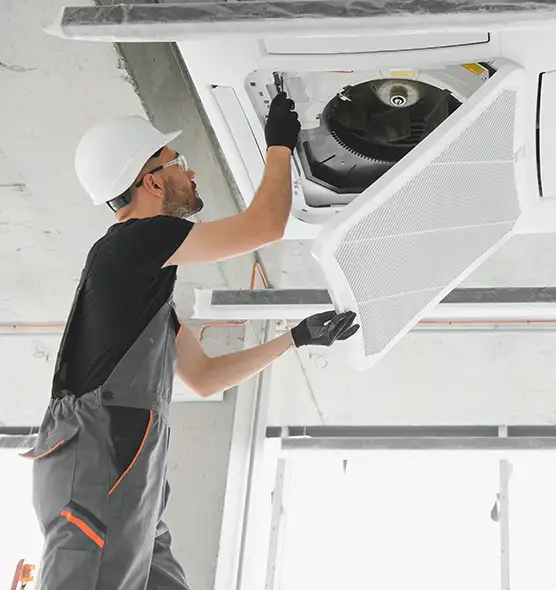 About Air Duct Rodent Removal in Citrus Heights, CA