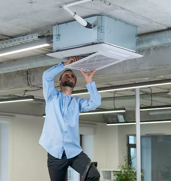 Advanced Rodent Droppings In Vents in Citrus Heights, CA