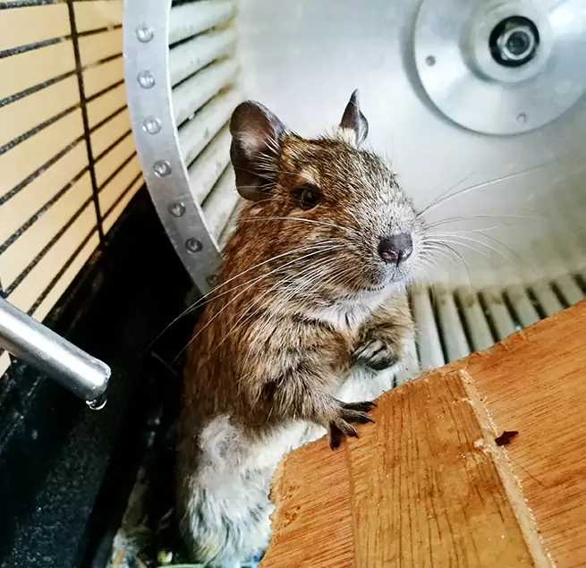 Why Homeowners & Businesses Trust Us Citrus Heights, CA?