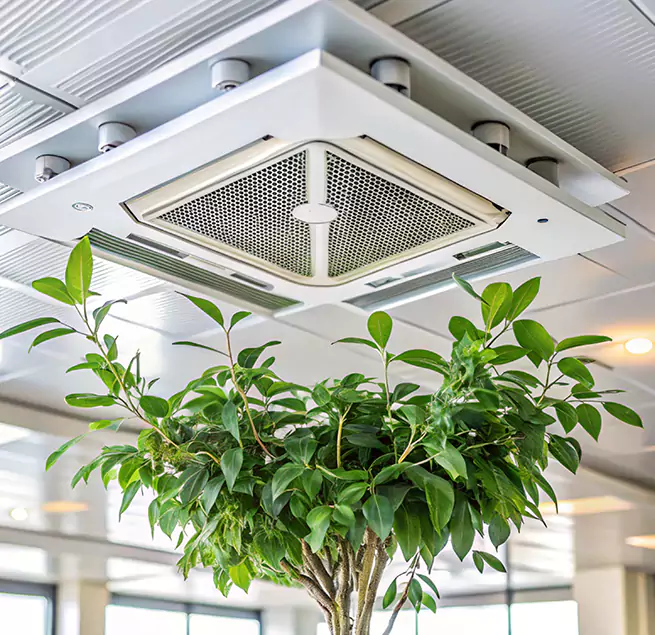 Why Homeowners & Businesses Trust Us in Citrus Heights, CA?